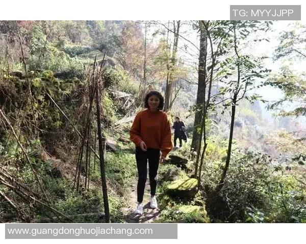 探寻王者荣耀成功背后的秘密与张军的独特见解