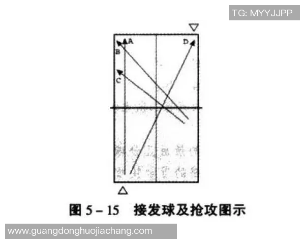深入分析成都乒乓球队快攻战术的特点与优势