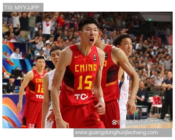 深圳排球队实力引发热议球迷观点分歧引发关注与讨论