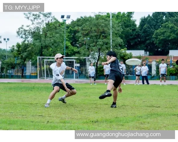 深圳飞盘队技术对比分析揭示团队优势与发展潜力