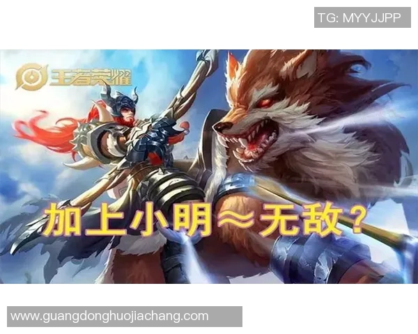 王者荣耀战术解析：深入剖析JDG的区域防守策略与执行细节