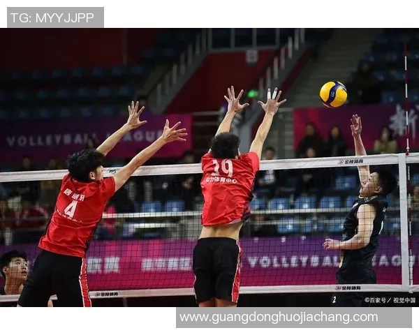 赵秀英独家分享排球心得与技巧助你提升球技的秘诀与经验